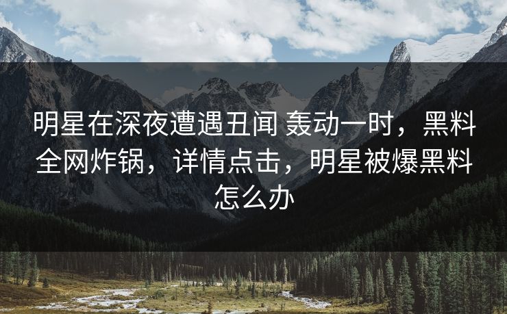 明星在深夜遭遇丑闻 轰动一时，黑料全网炸锅，详情点击，明星被爆黑料怎么办