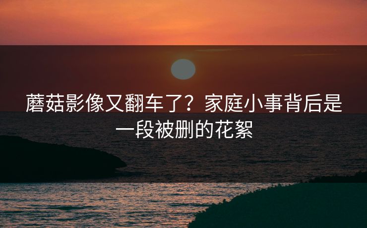 蘑菇影像又翻车了?家庭小事背后是一段被删的花絮 蘑菇影像又翻车了?家庭小事背后是一段被删的花絮
