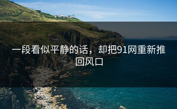 一段看似平静的话,却把91网重新推回风口 一段看似平静的话,却把91网重新推回风口